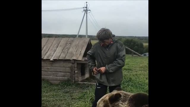 Школа Дом Волка. The School House Of The Wolf. Медведь Вася и волк Осень