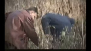 [Вне Закона] Серый Кардинал