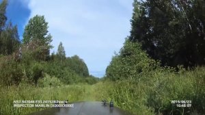 Газ 69 Nortec TS-07 12,4L-16 УМЗ-421. Взяли потестить резину у друзей.