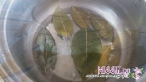 Отвар лаврового листа для лица - лучшее домашнее средство  от пигментных пятен и морщин