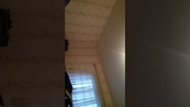 Обзор нашей прогулочной коляски!