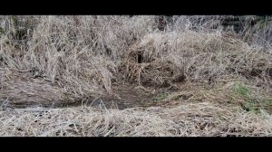 Unclogging Culvert Hidden under Grass