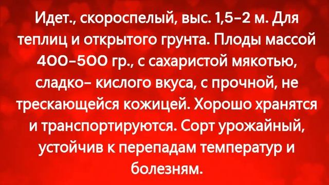 Каталог томатов 2023 г. Часть 7. г. Киров смотреть онлайн