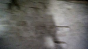 Как построить бюджетный погреб при высоком УГВ.