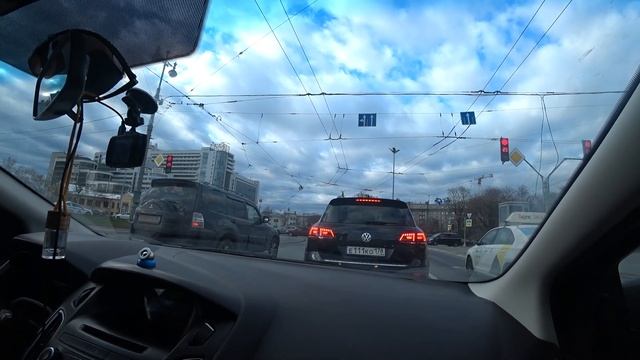 Поездка в Санкт-Петербург за щенком чихуахуа