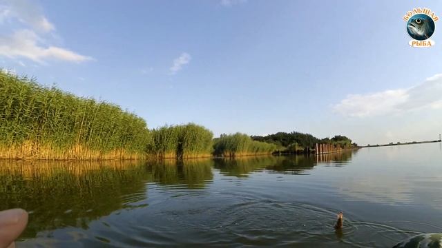 Бухта в п.Прегольский. Окунь, судак и подлещик на спиннинг! Рыбалка в Калининграде. смотреть онлайн