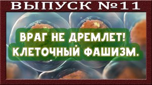 Клеточный ФАШИЗМ. Эукариотические клетки у всех одинаковые. Независимость жизни. ХОСПИС. Запирание.