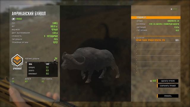 TheHunter Call of the Wild ОХОТА. БОЛЬШОЙ ЧЁРНЫЙ БУЙВОЛ. БУЙВОЛ НА БРИЛЛИАНТ смотреть онлайн