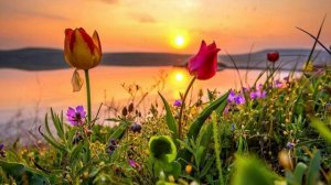 МУЗЫКА ДЛЯ РАССЛАБЛЕНИЯ: визуализация
#визуализация #мантра