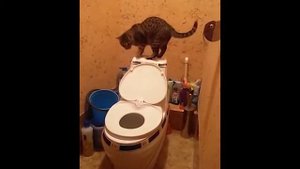 Зачем Хозяева кладут бутылку в бачок унитаза ?  Есть Способ Более Эффективнее! Ремонт Квартир