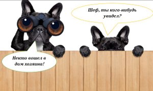 НЕОПРЕДЕЛЁННЫЕ МЕСТОИМЕНИЯ