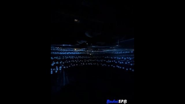 Выставка «Импульс» художника Maotik в галерее «Цифергауз» смотреть онлайн