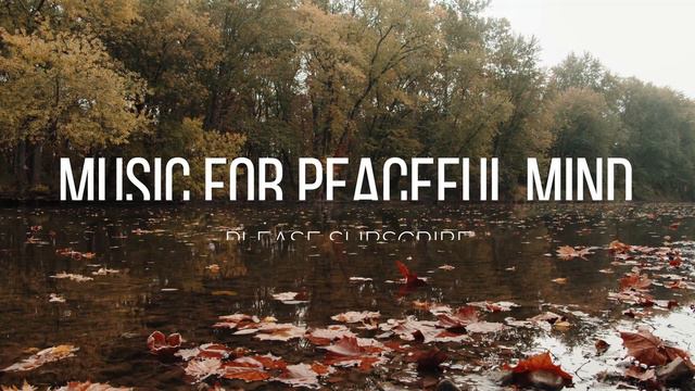 15 Minute Progressive Muscle Relaxation Script - 15 Minute Guided Meditation
