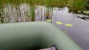 Супер Клев ЛОВЛЯ ЩУКИ НА ПОПЛАВОЧНУЮ УДОЧКУ ОБЗОР ЛОДКИ ЩУКА НА ЖИВЦА Fishing Рыбалка с лодки