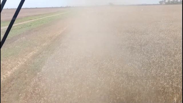 Уборка озимой пшеницы ПОЛЕСЬЕ-GS-1218A1 смотреть онлайн