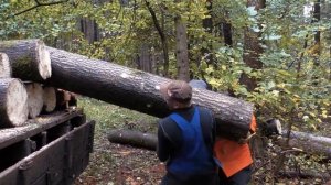 Груженый дровами ЗиЛ-157 прет по бездорожью  Не машина а мечта!