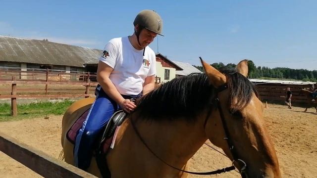 Учимся кататься на лошадях. Езда на коне. смотреть онлайн