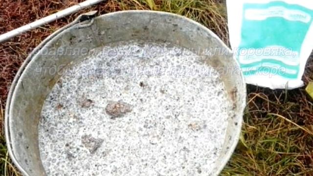 Тонкости побелки деревьев смотреть онлайн