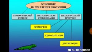 ПУТИ ЭВОЛЮЦИИ / БИОЛОГИЯ 11 КЛАСС