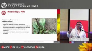 Защита подсолнечника от сорняков? / "Подсолнечник 2023"