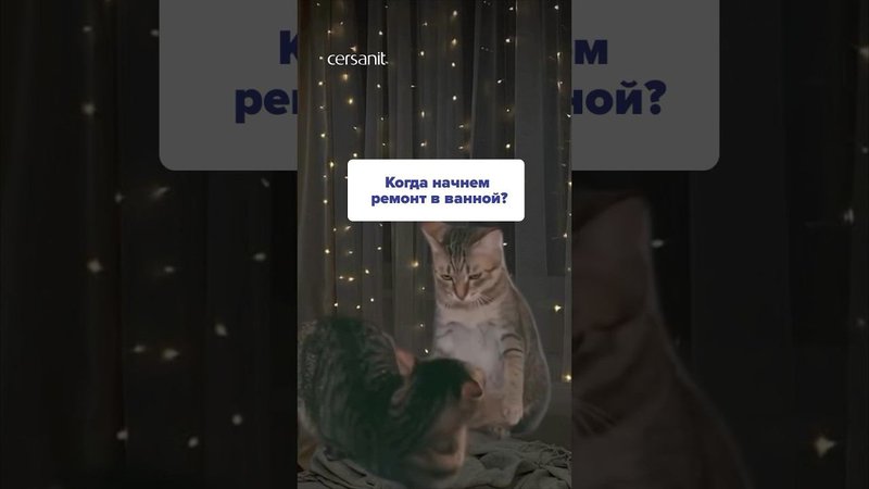 Сделать ремонт и не развестись: 3 секрета крепкого брака внутри #ремонт #ванная