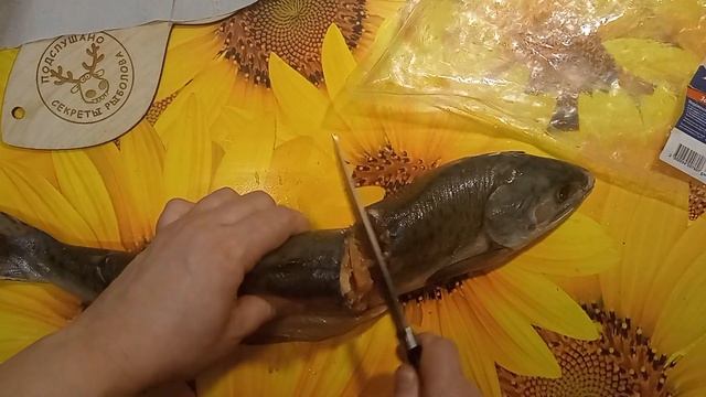 Почему размороженная горбуша стала как каша ? Дело не только в переразморозках ? Купил за 450 руб/к смотреть онлайн