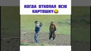 Скоро на всех огородах страны