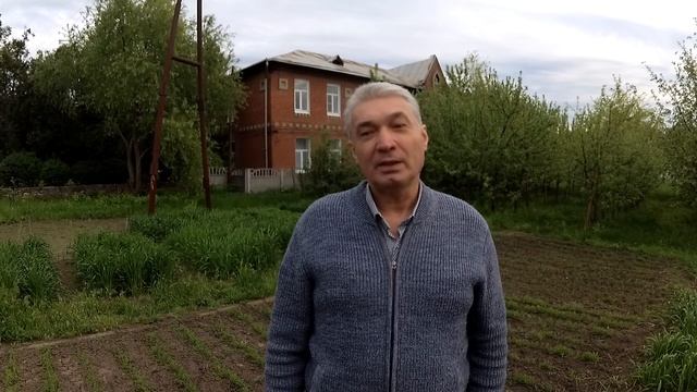 Чечевица! От полей до огорода.