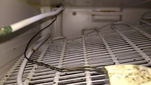 Атлант ХМ 4011 с одним компрессором. Установка испарителя ХК