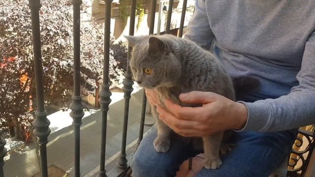 Мы переехали) смотреть онлайн