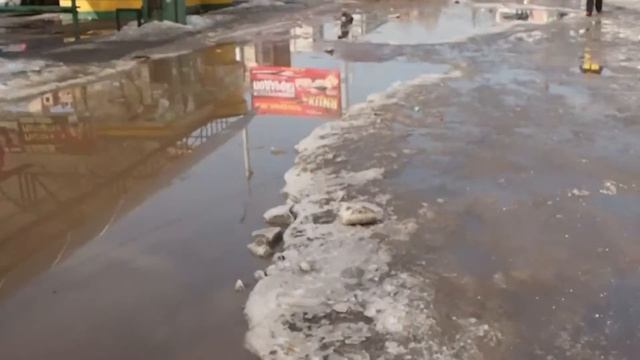 Walkabout Ferina 11 03 2016 смотреть онлайн