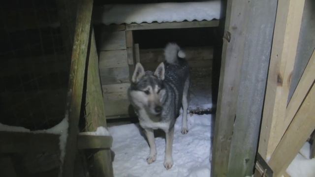 С лайками на Ютубе с 2011 года смотреть онлайн