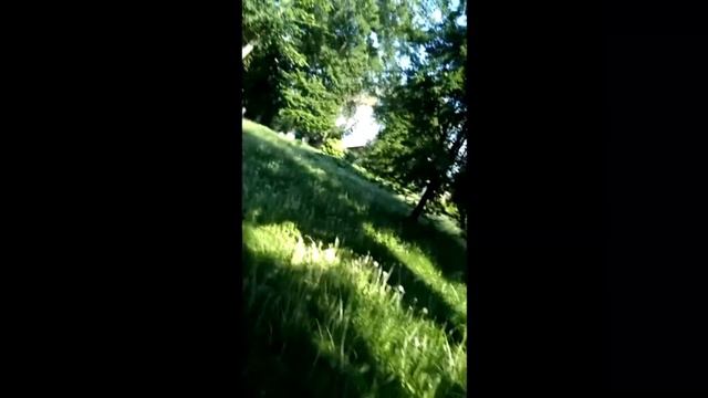 Старинные надгробия Воронежа делали РОБОТЫ смотреть онлайн