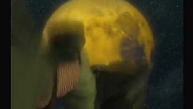 Destrega (1998) смотреть онлайн