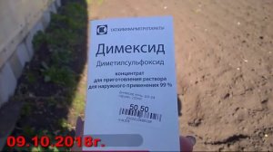 67/18  Чем мы занимаемся сейчас / Применяем Димексид на огороде