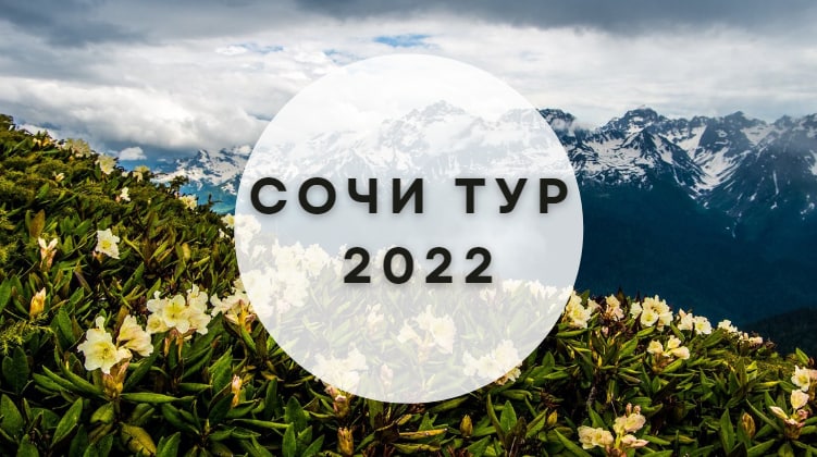 Сочи тур май 2024