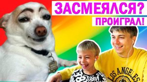 НЕ ЗАСМЕЙСЯ ЧЕЛЛЕНДЖ! +РОЗЫГРЫШ МАШИНОК! Реакция на смешные видео про животных!