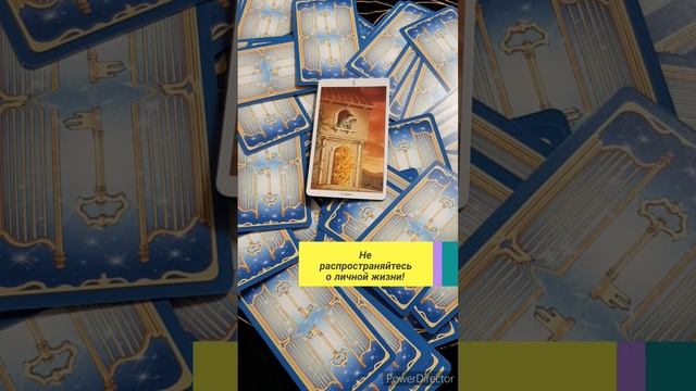 21.06.2022 карта на день 5 кубков. Сохраняйте ясность ума! смотреть онлайн