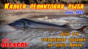 Три дня на реке Амур День 1-й Калуга реликтовая рыба или звуки природы.