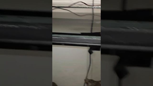 Купила стеллаж для террариумов смотреть онлайн