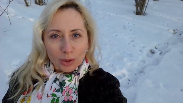 Ирина Восторг 100 дней слова благодарности трансформациям 7я неделя 2видео смотреть онлайн
