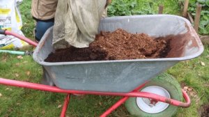 Как сажать (пересаживать) Крыжовник! Преимущества осенней посадки!