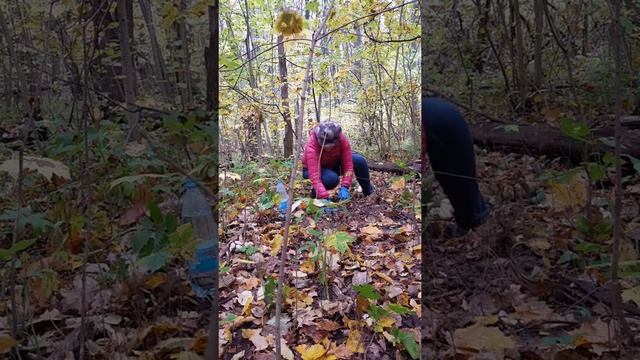 Сажаю ландыши смотреть онлайн