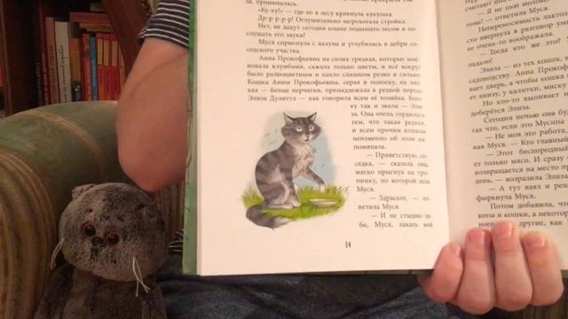 Кошачье детективное агентство. Ольга Лукас кошачье детективное агентство иллюстрации. Кошачье детективное агентство книга. Издательство речь кошачье детективное агентство. Ольга Лукас книги про кошек.