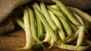 Как Выращивать  Фасоль Дома