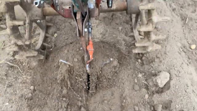Самодельная веерная картофелекопалка...