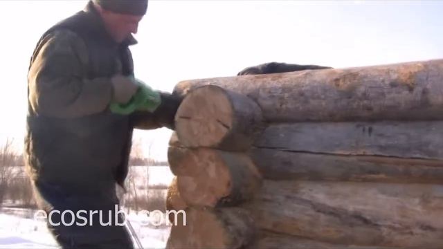 Подсадка бревна сухарника ecosrub.com