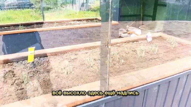 Влог.Прогулка по парку "Чайковое озеро"/ Vlog. Walk in the park "Seagull Lake"