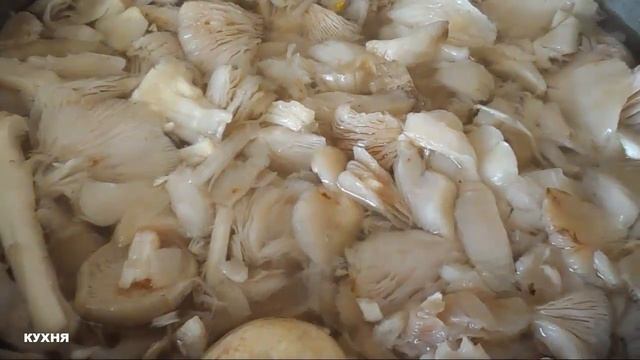 МАЙСКИЙ   ГРИБ  /  МАРИНОВАНИЕ  /  МАРИНОВАННЫЙ  РЕЦЕПТ