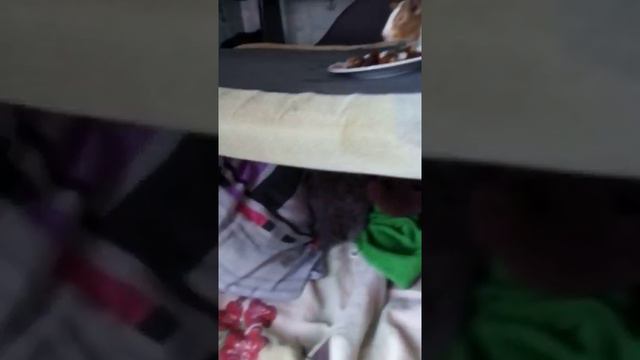 Животные купили себе дом и теперь там живут Тайная жизнь домашних животных 😺😺😺 смотреть онлайн